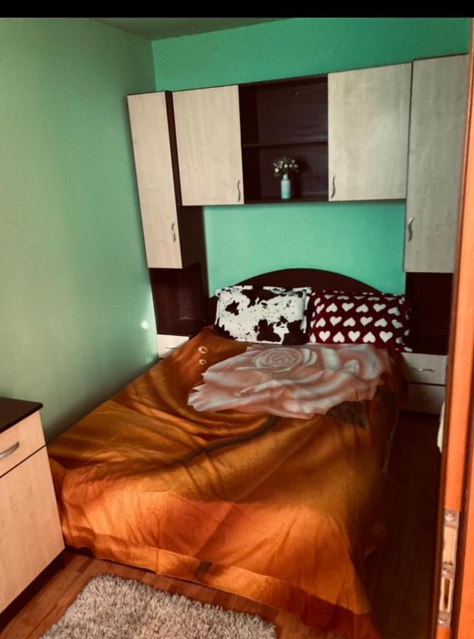 Apartament 2 Camere Arad Extérieur photo